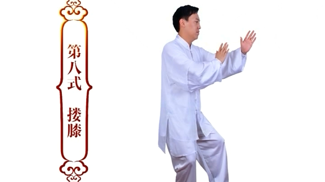 跟着陈斌老师学陈式太极拳精要十八式第八式搂膝