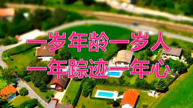 一岁年龄一岁人,一年踪迹一年心