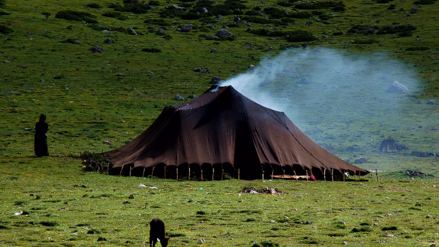 藏族牧民织帐篷纯牦牛的毛织成得的听说可以用好多年