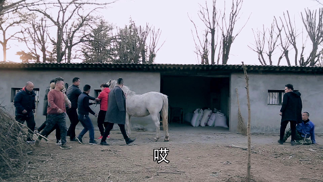 两个小伙子抢老头的马结局小伙子灰溜溜的跑了