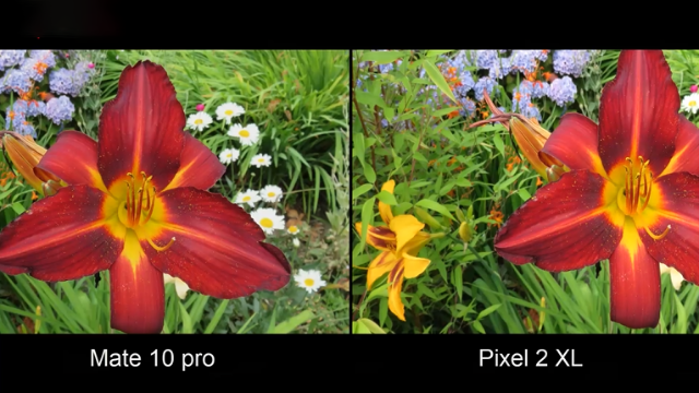 华为mate10pro与谷歌pixel2xl相机对比