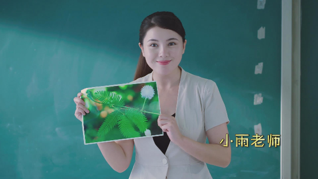 凤凰网
