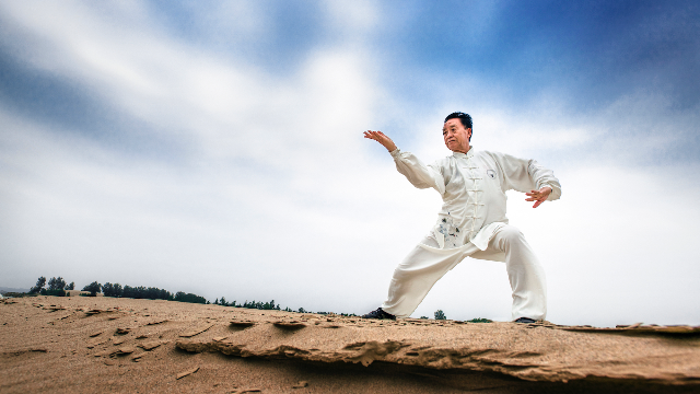 太极拳大师朱天才