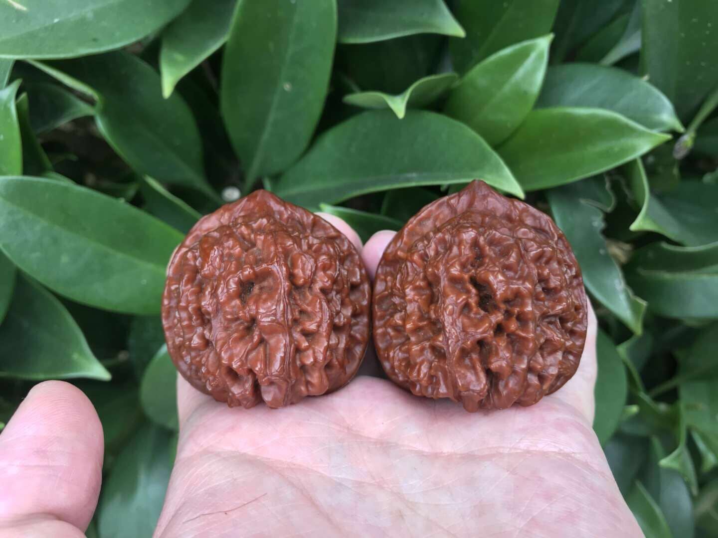 16极品王勇官帽,纯手盘两年多,有兴趣的朋友看看