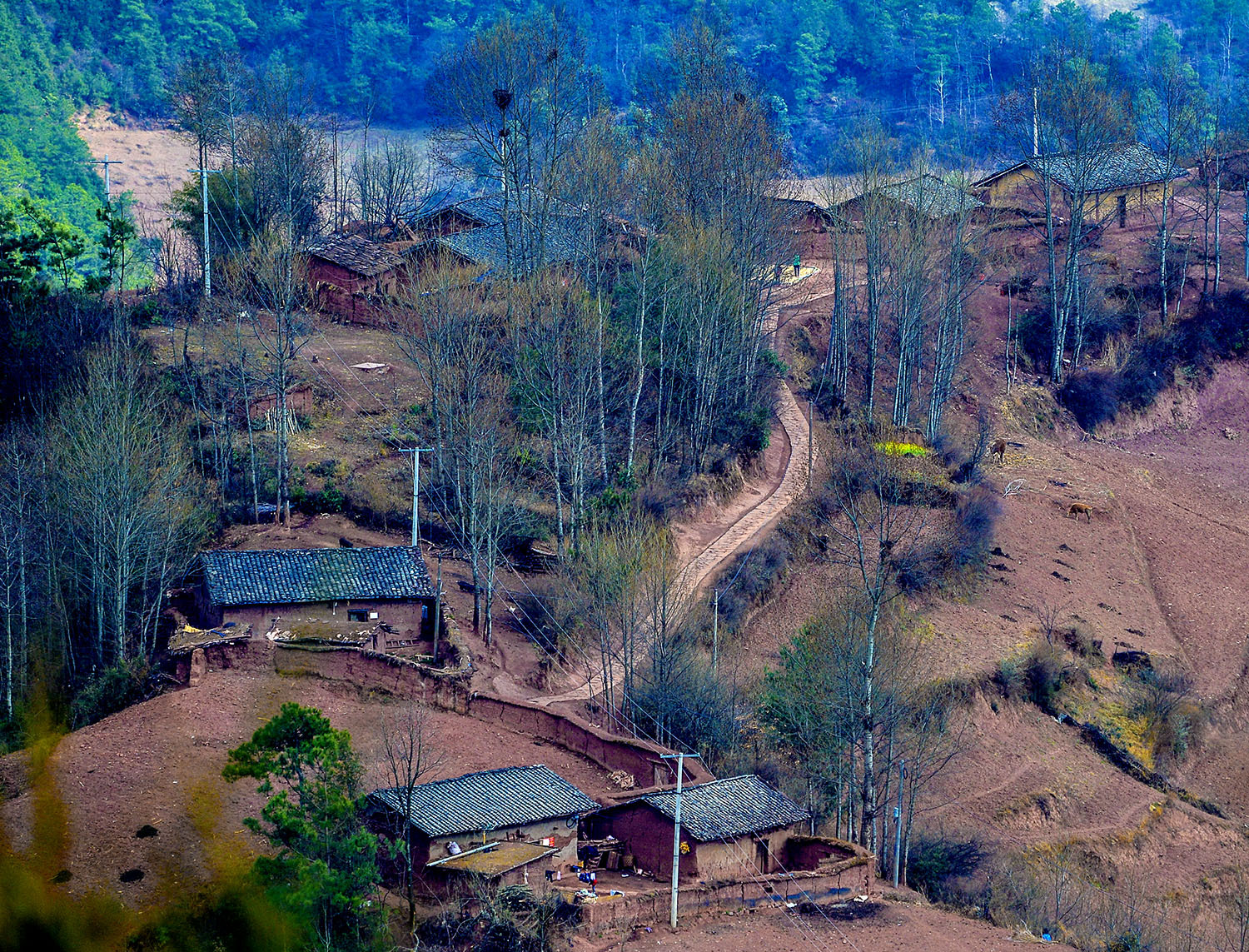 游览凉山大山深处昭觉县三岔河乡三河村彝族家_凤凰网体育_凤凰网