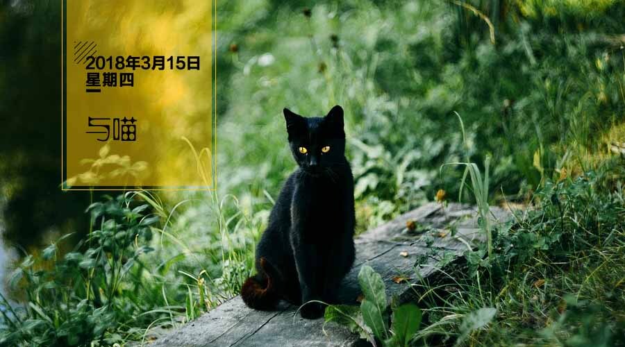 黑猫代表幸运还是倒霉