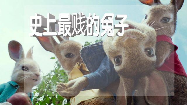 脑残电影《比得兔》: 一部颠覆五十年中国教育的科教片_凤凰网视频_凤凰网