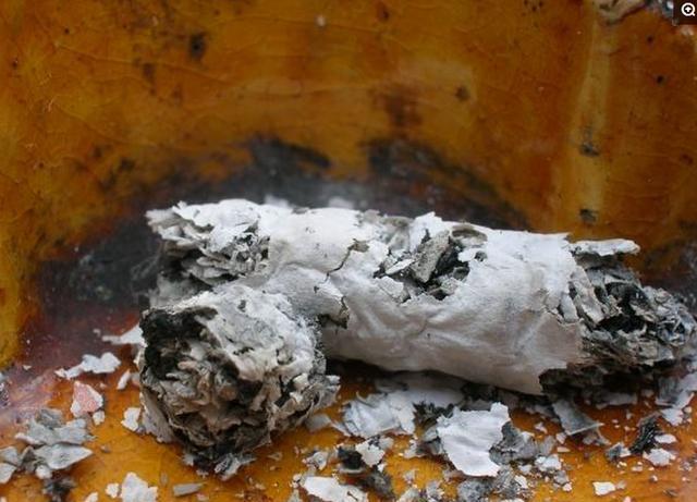 家里的烟灰别再傻傻的倒掉了这些逆天的妙用我只服第四个