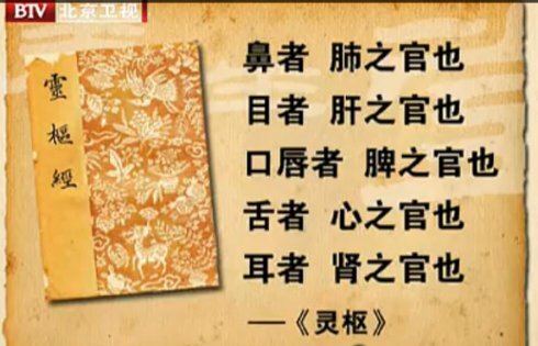 中医典籍《黄帝内经》里面讲:"心开窍于舌,脾开窍于口,肝开窍于目,肺