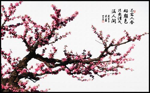 五言律诗:《咏梅》__凤凰网