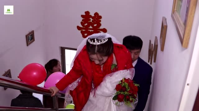 看看这大花脸,你说美吗