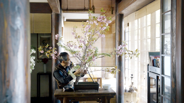 日本顶级花道3分钟轻松学到手