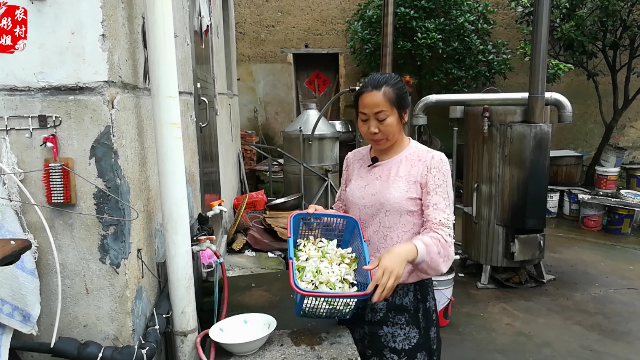 这样做野生栀子花蜂蜜茶真是太好喝了!农村大姐雨天采栀子花,好