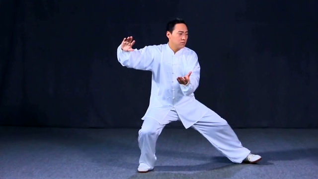 陈氏太极拳老架一路陈斌老师教学第二十七式云手