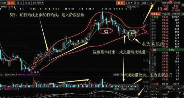鸭头部分的放量是充分条件,而鸭嘴部分的缩量则是必要条件.
