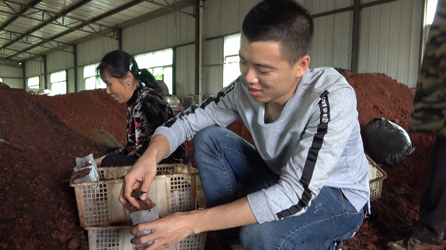 欢子打零工被看扁装一筒土捞3分钱你觉得他能坚持多久