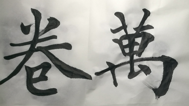 0603书破万卷李雁春书法欣赏