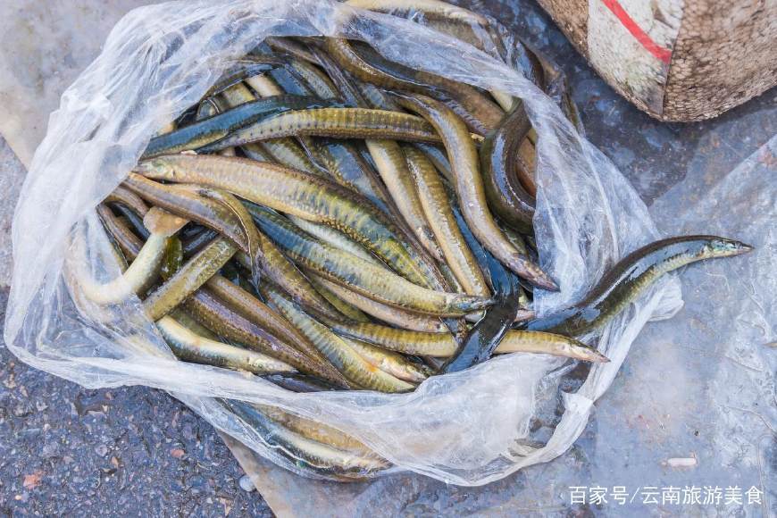 农村小河里这种鱼养颜补肾虚大集上25元一斤很多人却不懂吃