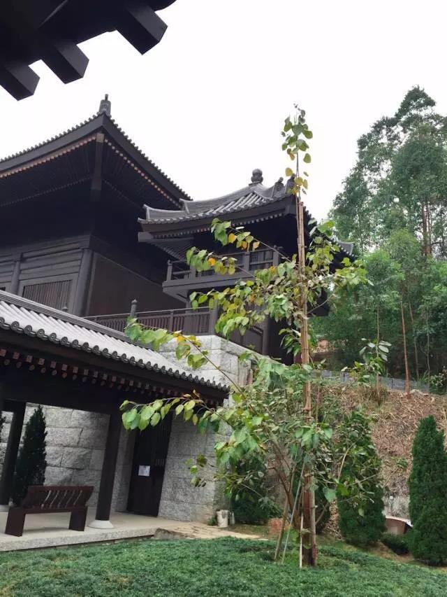 李嘉誠15億建佛寺即將開放,裡面只供水不燒香,還有防彈設備.