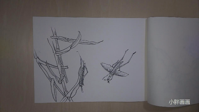 钢笔线描画蟋蟀简单易学