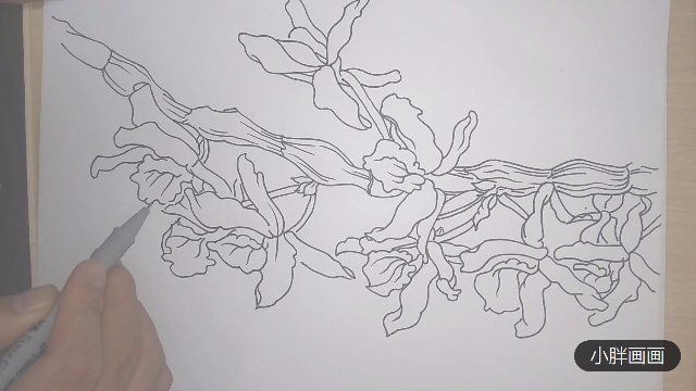 线描手绘石斛简单易学