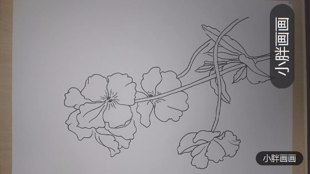 线描手绘三色堇简单易学