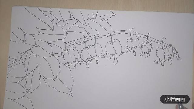 线描手绘荷包牡丹简单易学