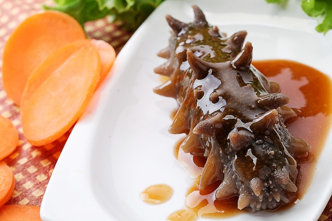 吃海参不破坏营养您可以这么做