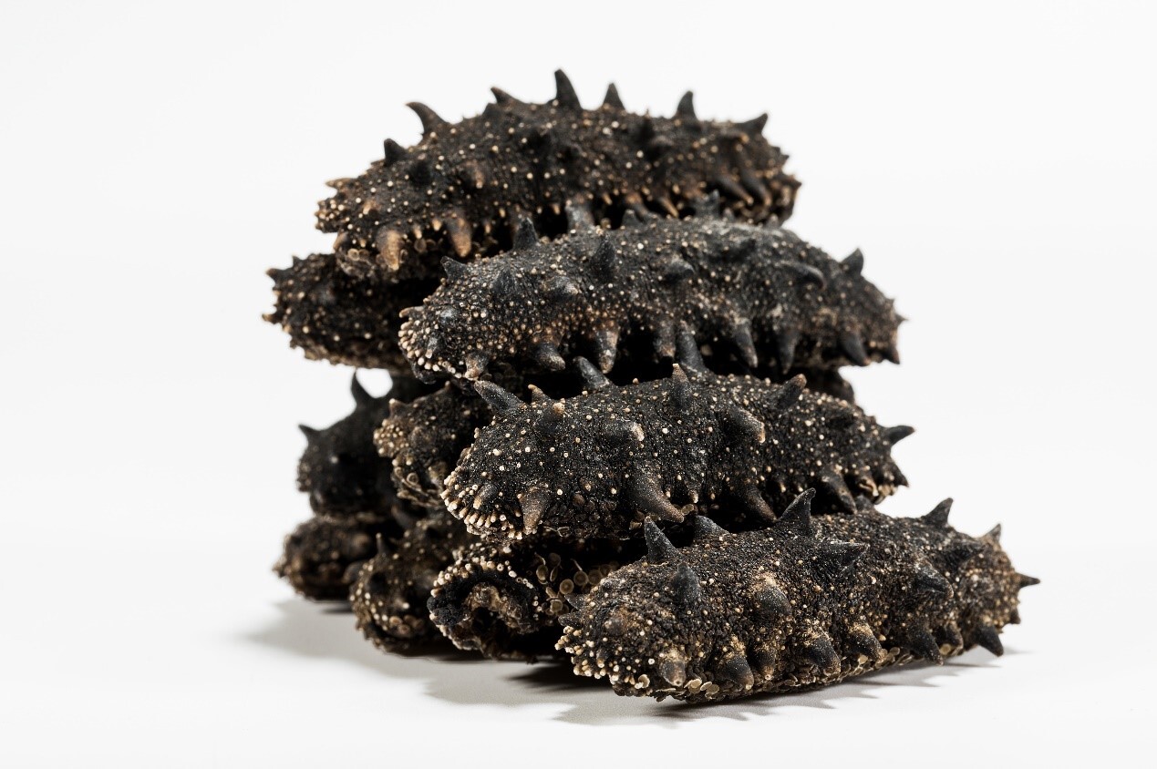 海参一定要知道的8件事,最后一件很重要!