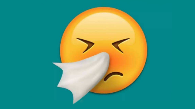 缓解鼻子堵塞可以采取什么办法