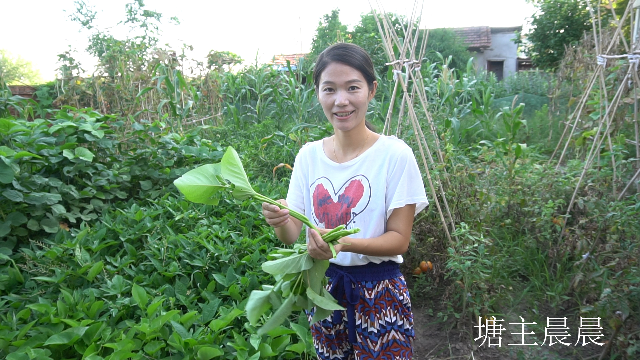 塘主晨晨最近怎么了(塘主晨晨的西瓜个人主页)