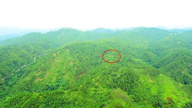 帶你看看廣東信宜池洞周氏風水寶地獅子頭_鳳凰網視頻_鳳凰網