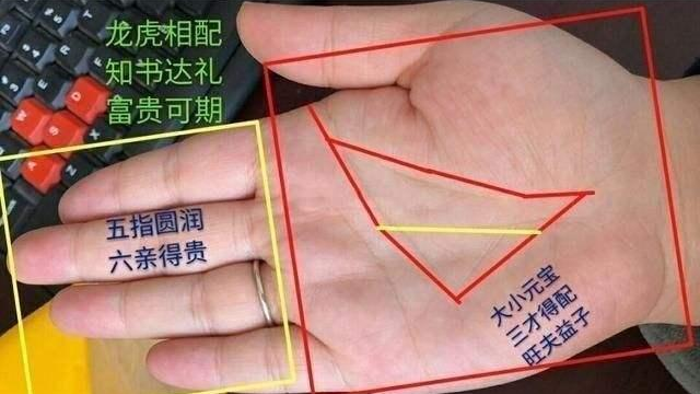 相术:手中的钱串子和财库,你抓住了吗?