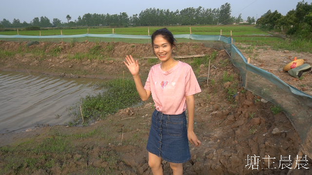 塘主晨晨分享养殖心得要想养殖大丰收勤动手勤动脑一样不能少
