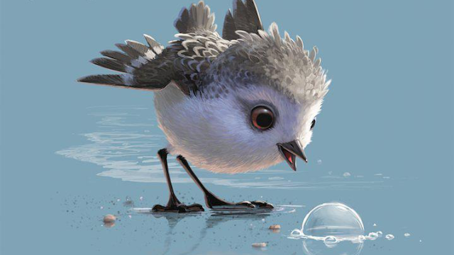 皮克斯获奖动画短片《鹬》,超治愈暖心