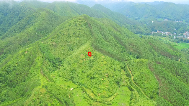 带你去广东高州石板看看世纪大盗张子强的风水宝地妖王地