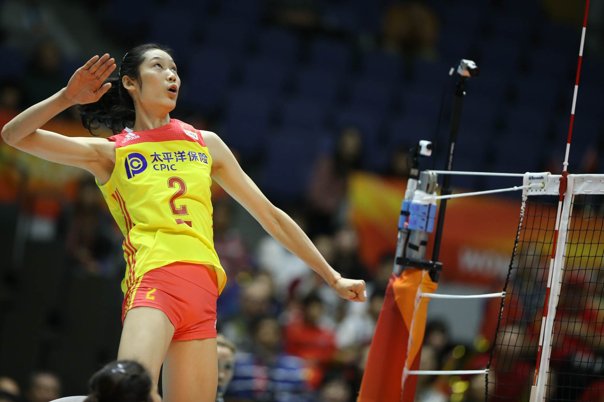 朱婷接了18个一传,得分全队最高分16分 ,巨星风采!__凤凰网