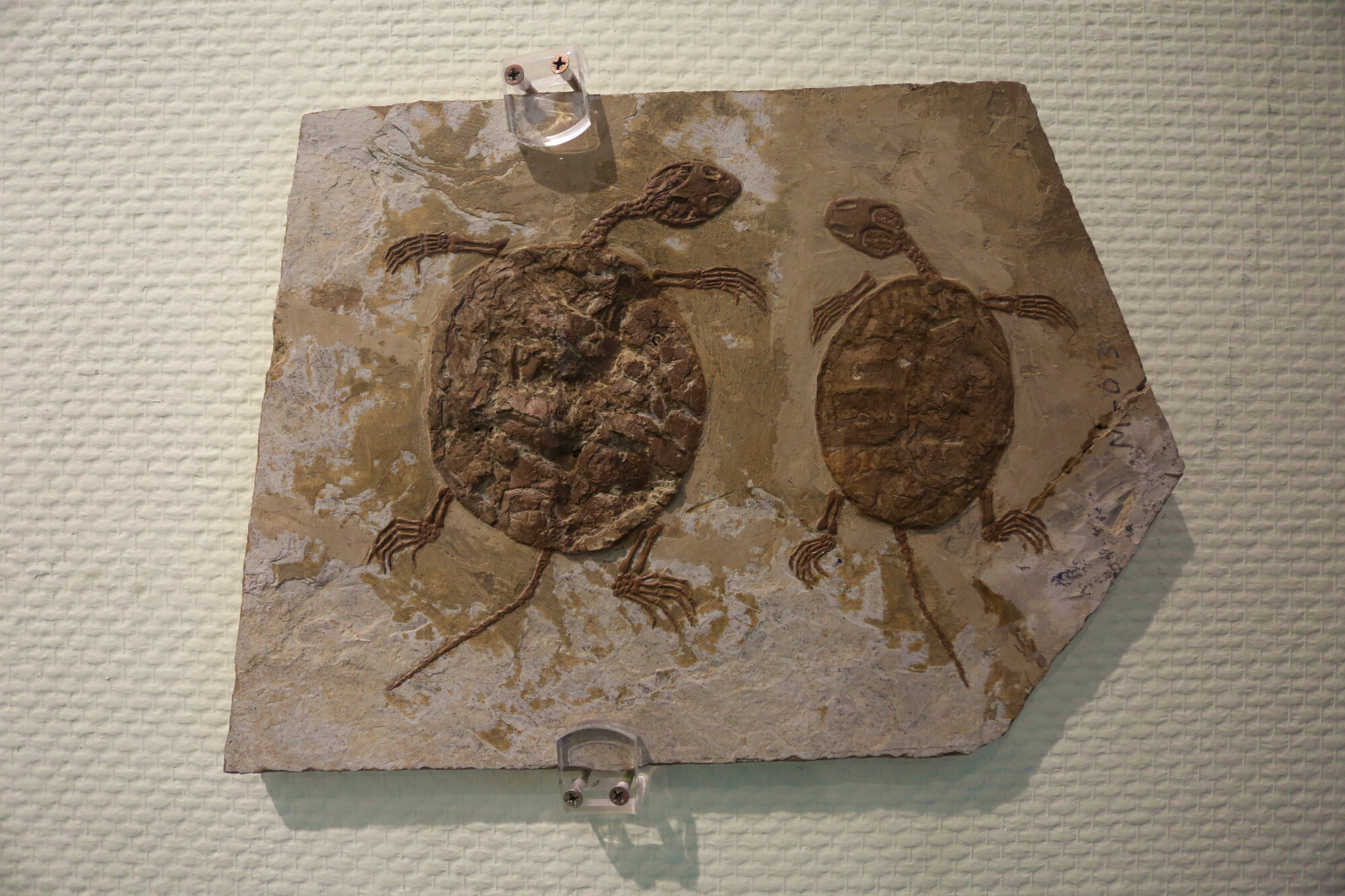 对我而言,极具戳伤力的则是另一件镇馆之宝-永恒的爱, 这让我想到