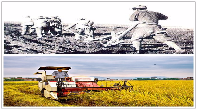 改革开放以来新疆都发生了哪些变化看看农村奶奶是怎么说的