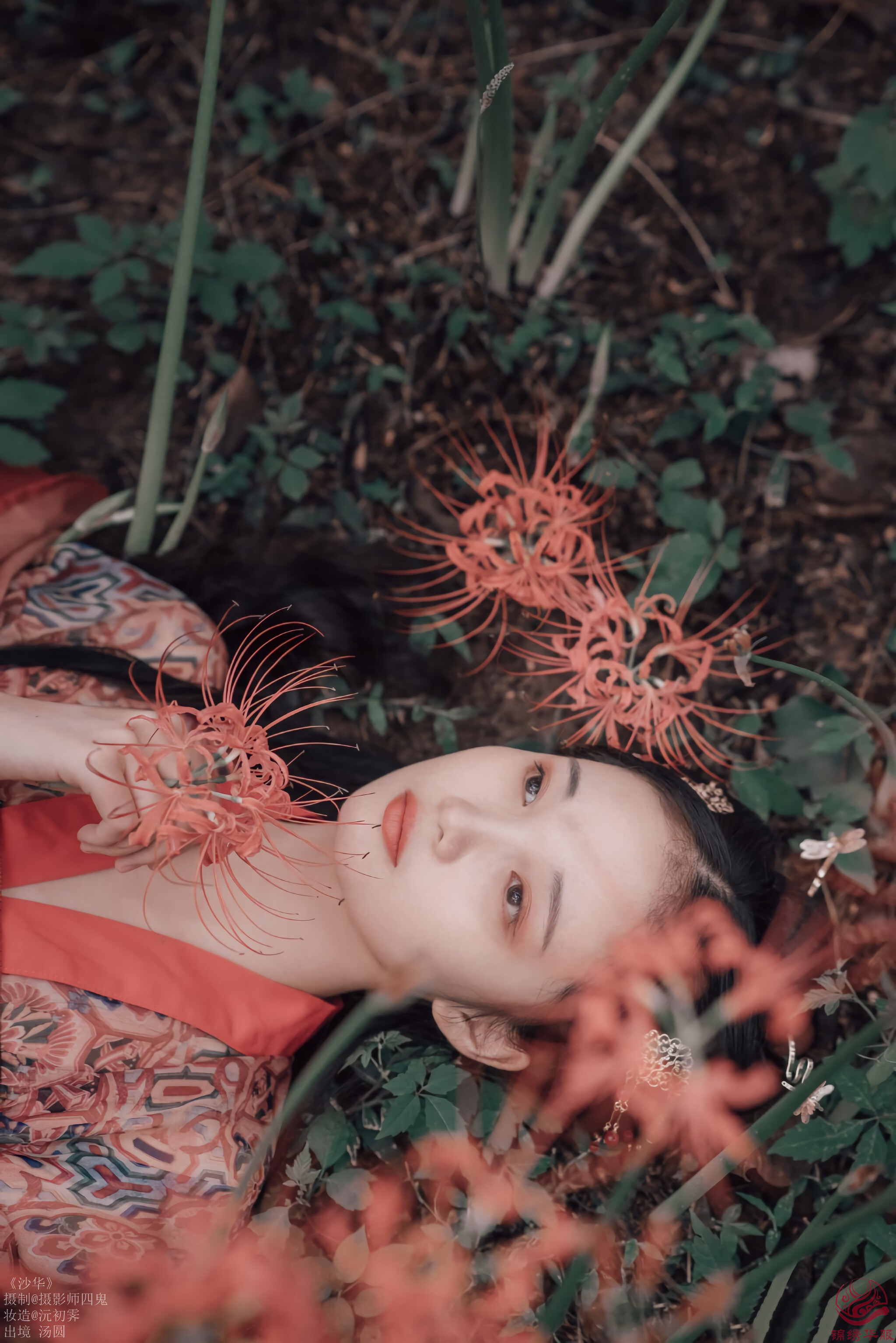 汉服写真第49期《沙华》小编推荐另类的彼岸花少女写真__凤凰网