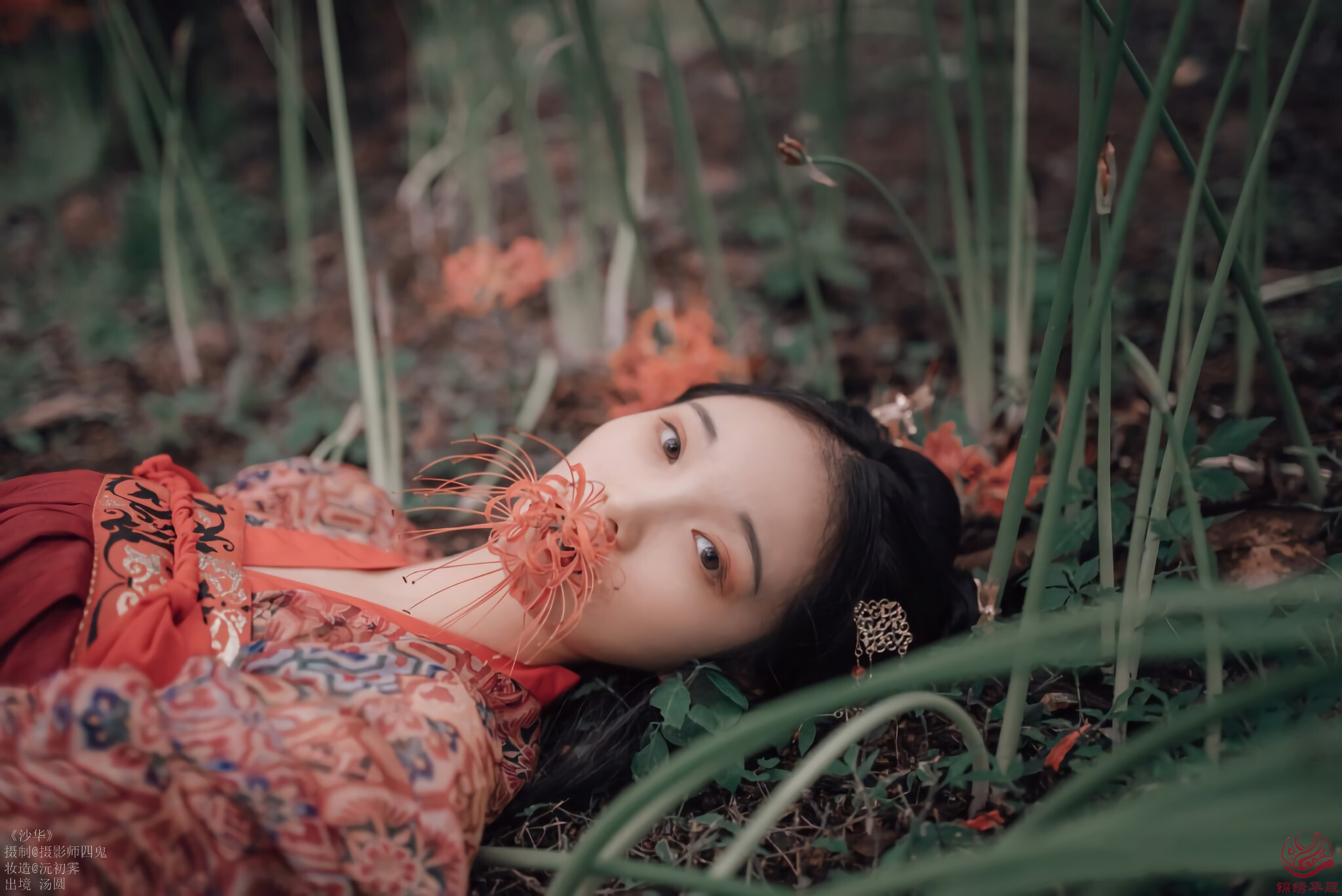 汉服写真第49期《沙华》小编推荐另类的彼岸花少女写真__凤凰网