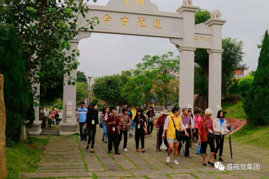 湛江盛視覺集團有限公司,湛江市社會工作協會,湛江廣之旅國際旅行社