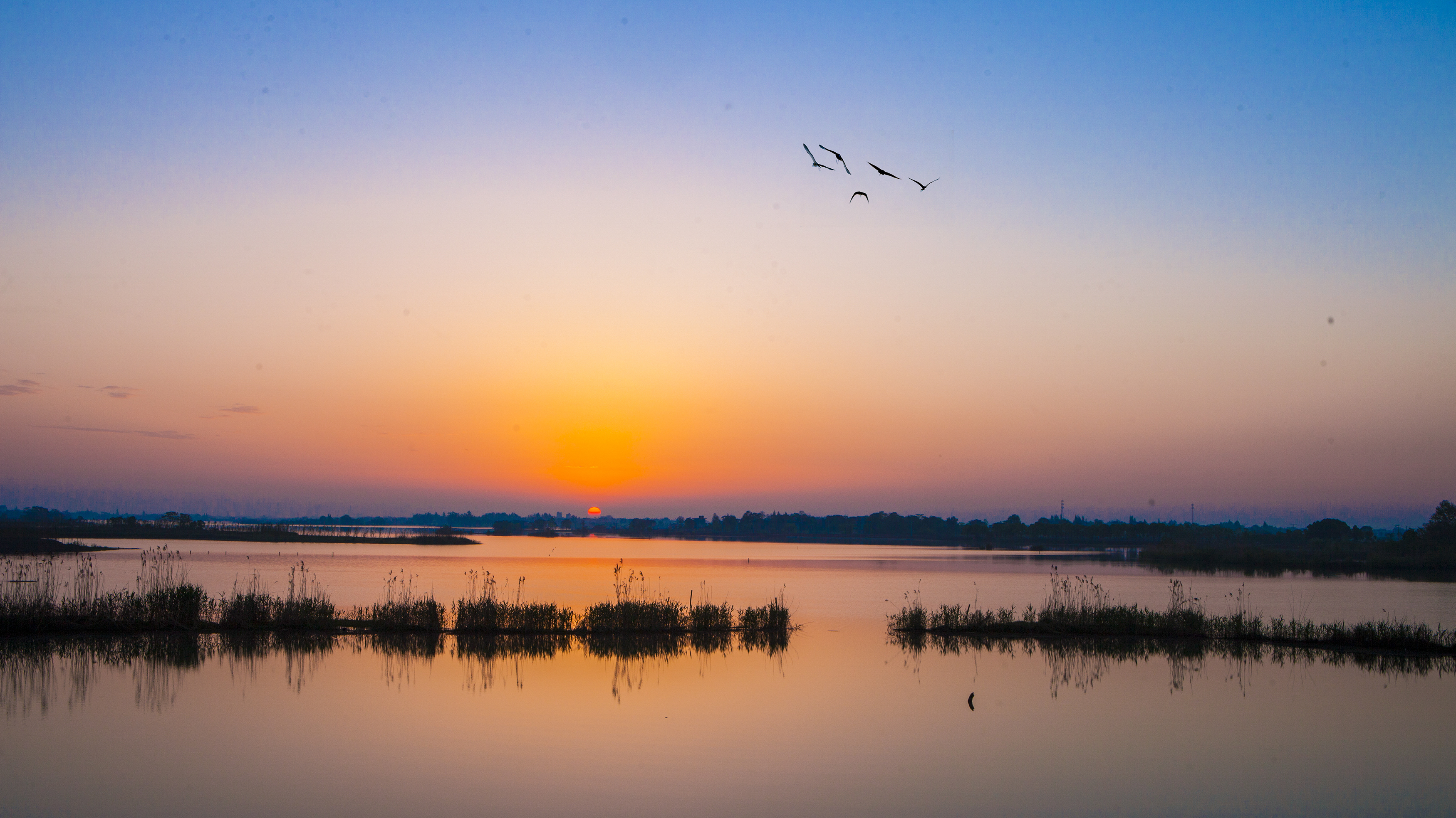 芜湖奎湖湿地公园图片