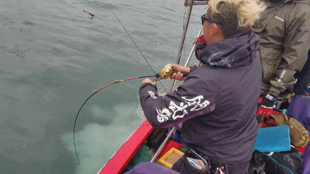 船钓马友鱼钓鱼人插竿入水溜大物