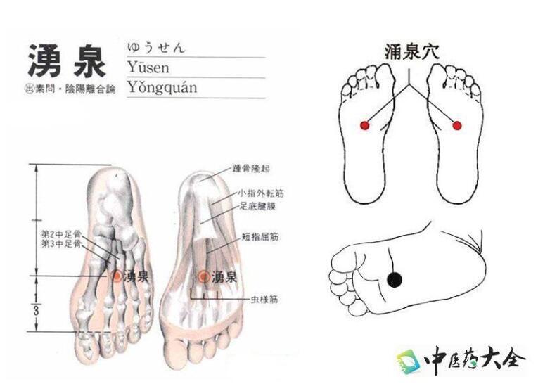 你知道涌泉穴到底是干什么用的吗？__凤凰网