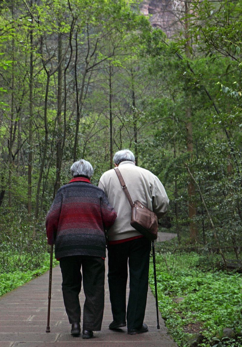 爸妈你们的爱我如何才能报答----歌中启事