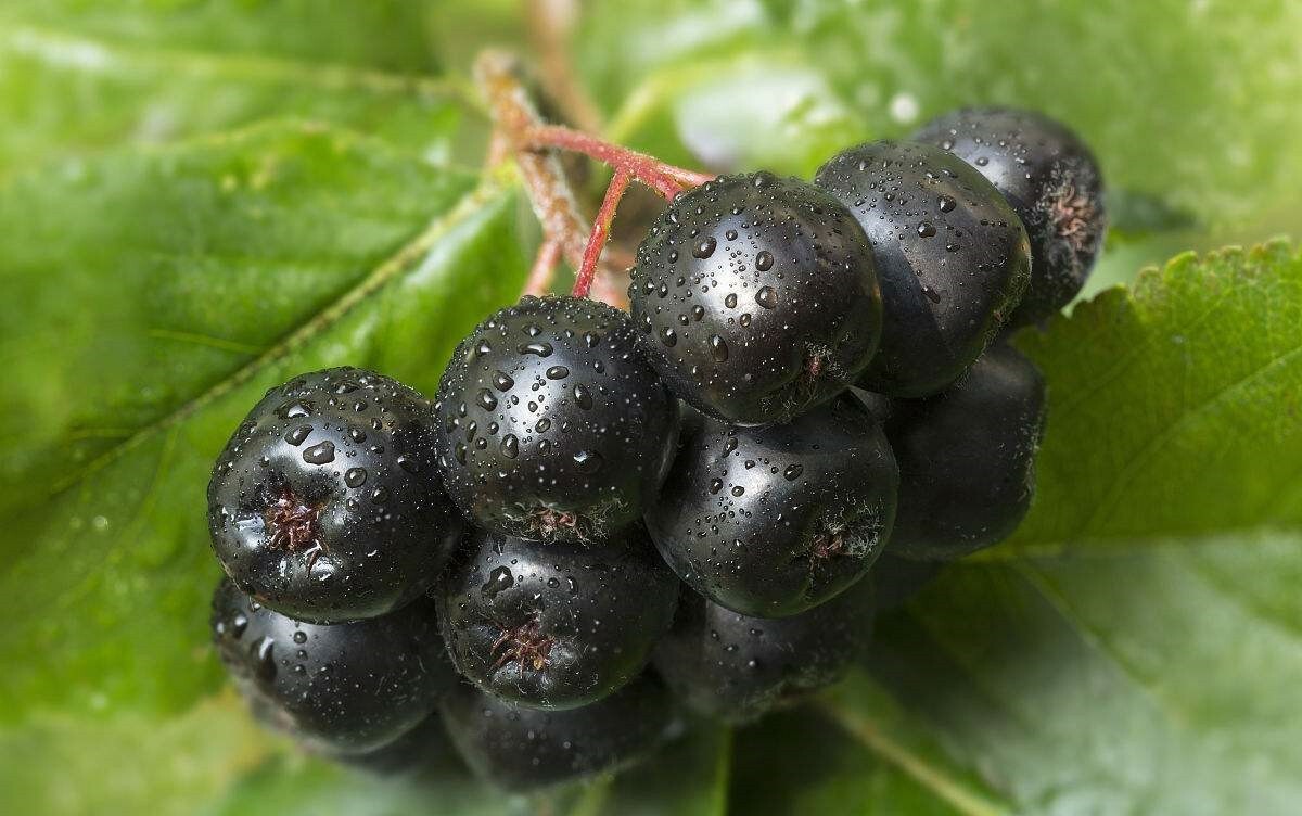 一直不把胃疼当回事?有这3个症状你就要当心了!