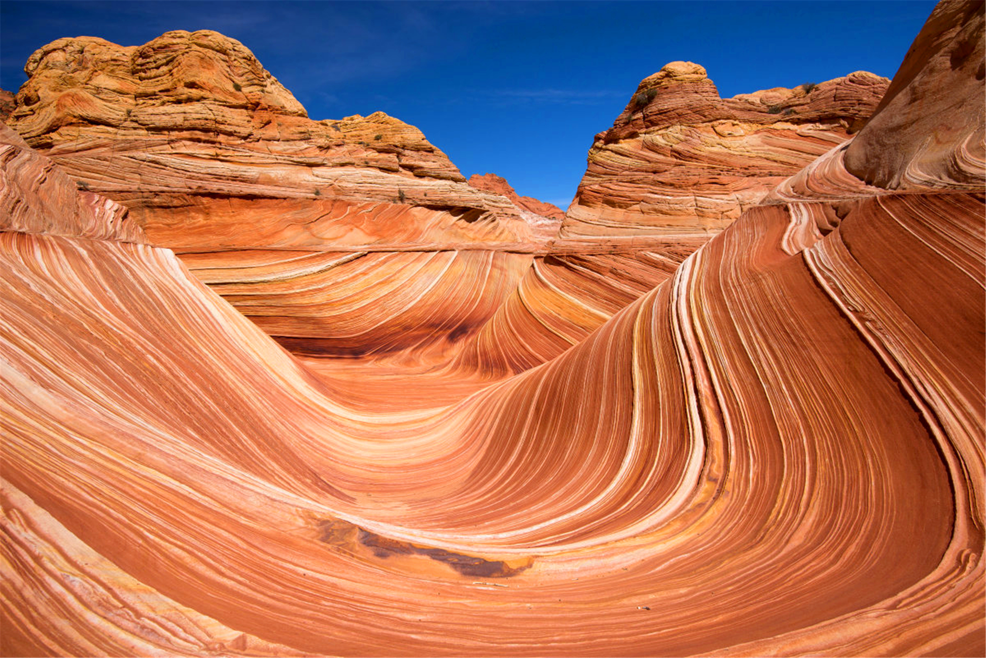 每年吸引10万游客到访,澳大利亚神奇波浪岩有何魅力__凤凰网