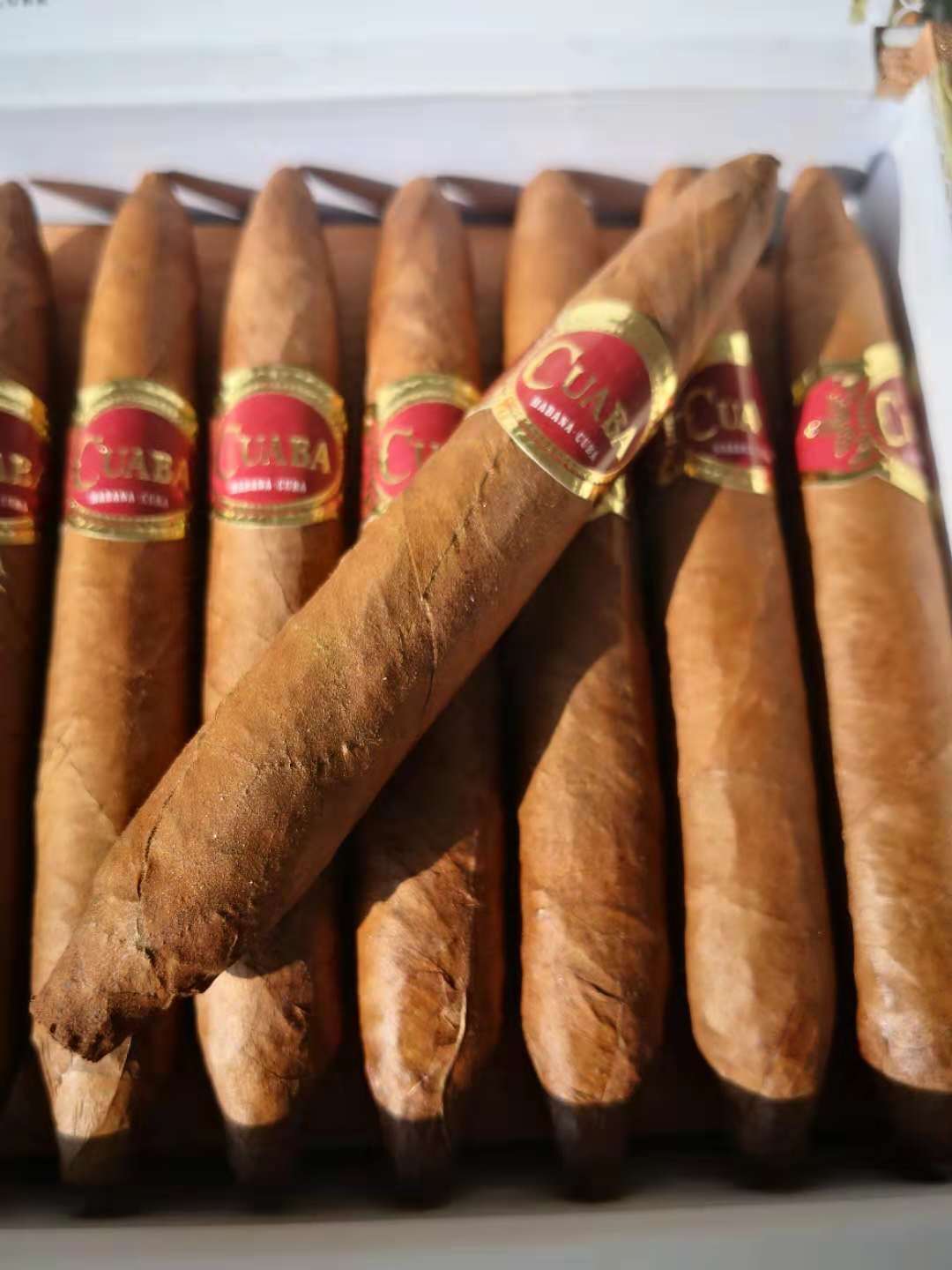 库阿巴*传统 cuaba tradicionales