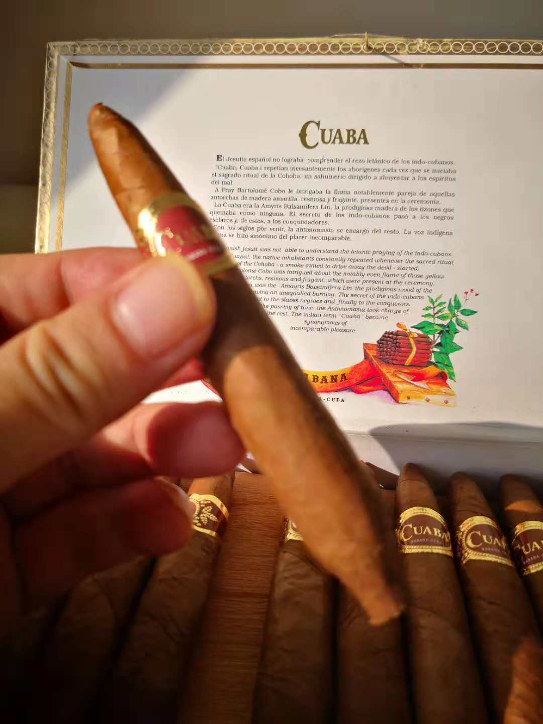 由于这种造型,库阿巴该品牌下的任何型号雪茄都会有堵的情况,整盒雪茄